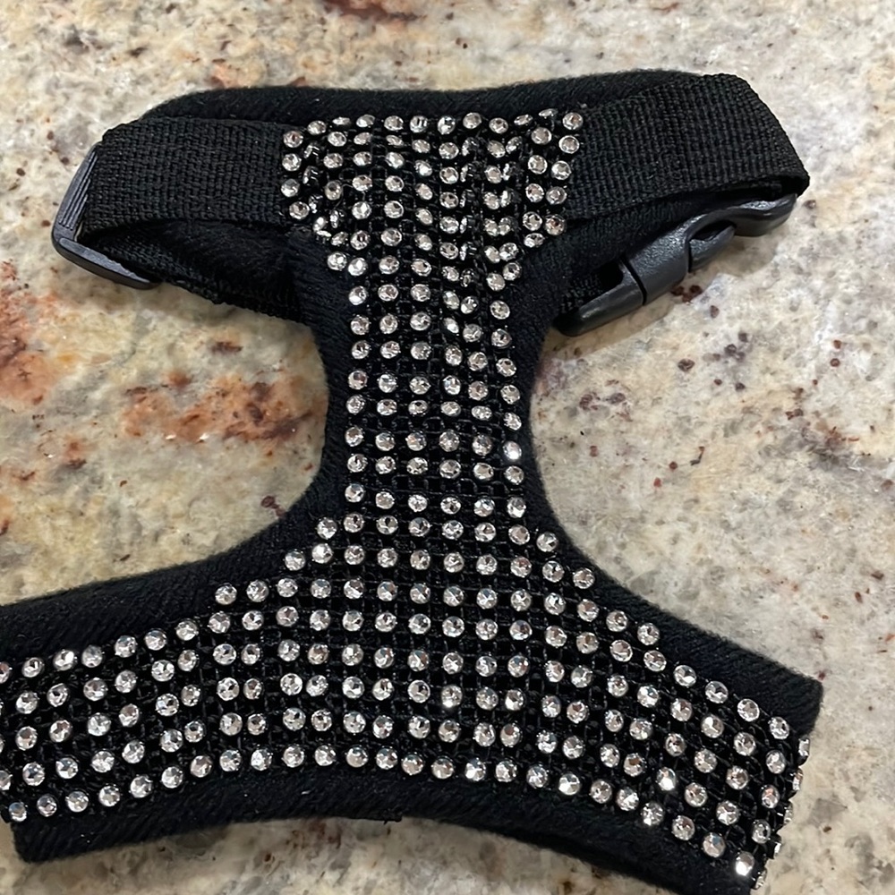 Small dog harness